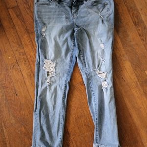 Torrid Jeans